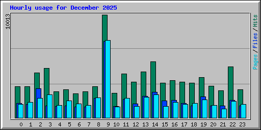 Hourly usage for December 2025